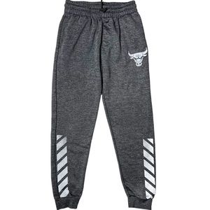 NBA Chicago Bulls Logo Jogger Sweatpants in Grey Youth Size L (14-16)